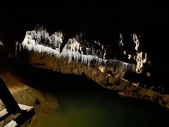 -怀托摩萤火虫洞