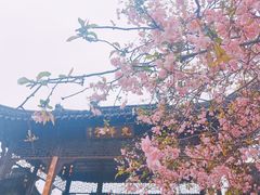 -莫愁湖公园