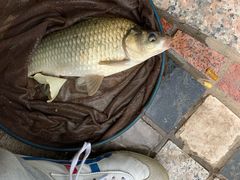 -酷鱼垂钓CLUB(朝阳区博大路店 )