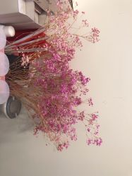 -SKIN79皮肤管理中心