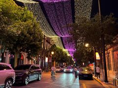 -天津五大道文化旅游区