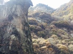 -少华山国家森林公园