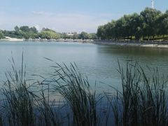 -长春世界雕塑园冰雪艺术天地