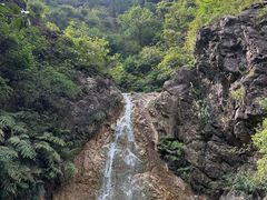 -南海湾森林生态园