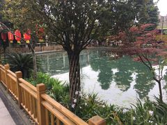 -水岸庭院·乡村柴火鸡