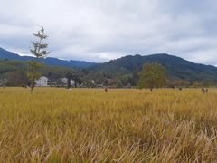-塔川景区