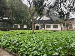 -绍兴鲁迅故里·沈园景区