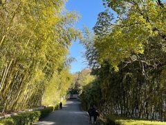-天目湖涵田度假村
