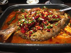 -龙门烤鱼(东方宝泰店)