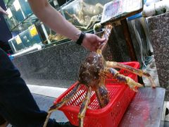 -蚝专家(北滘店)