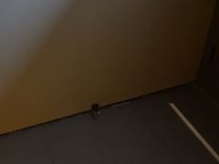 -徽雲头疗·spa(浦珠北路店)