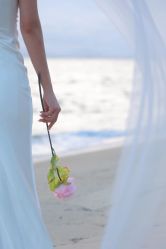 -屿爱摄影优选店