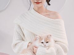 -小猫来了·猫舍(红山六九七九店)