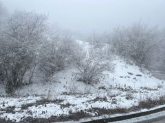 -太子岭滑雪场