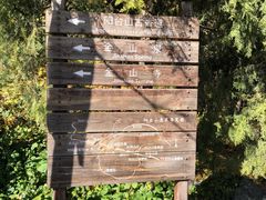 -阳台山自然风景区