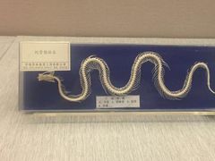 -青藏高原自然博物馆