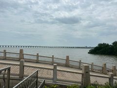 -宝安西湾红树林湿地公园