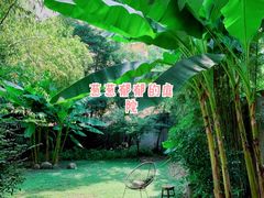 -胶囊画廊