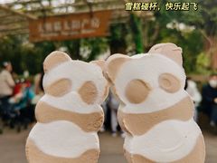-成都大熊猫繁育研究基地