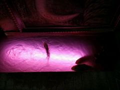 -Siam泰餐厅(水上公园店)