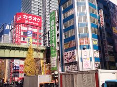 -秋叶原电器街