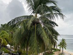 -日落吧·海景咖啡厅·餐酒吧·鸡尾酒·下午茶·乐队表演·浪漫夕阳·三亚文华东方酒店