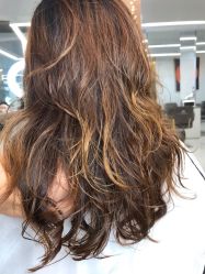 -潘多拉Hairsalon