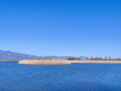 -野鸭湖国家湿地公园