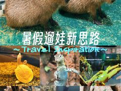 -上海大自然野生昆虫馆(东方明珠·爬宠昆虫探索中心)