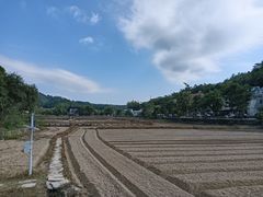 -红山村