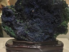 -北京中医药大学-中医药博物馆