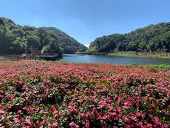 -广州市石门国家森林公园