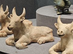 -广西壮族自治区博物馆