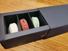 -梧桐