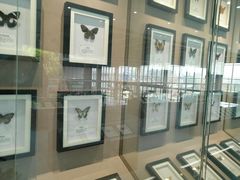 -南通洲际绿博园