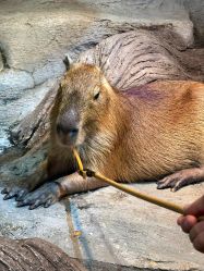 -Zoolung Zoolung动物主题公园(海信广场店)