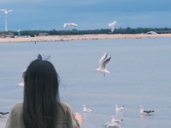 -仙人岛