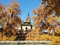 -北京石刻艺术博物馆(五塔寺)