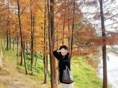-东莞植物园