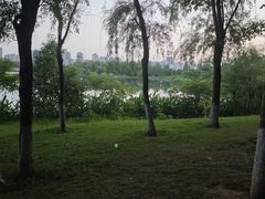 -洋湖国家湿地公园
