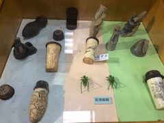 -上海大自然野生昆虫馆(东方明珠·爬宠昆虫探索中心)