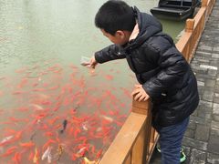 -嬉乐湾休闲旅游区