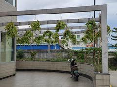 -麦当劳(长乐西洋南路得来速店)