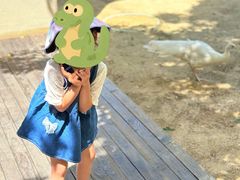 -宁波九龙湖开元度假村