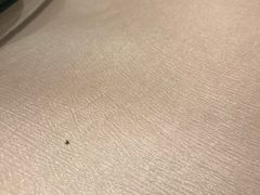 -红色盛宴酒楼(科丰桥店)