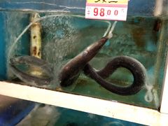 -鑫悦楼煎蟹·16年海鲜大排档