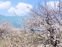 -广州市流溪河国家森林公园