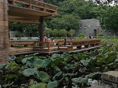 -李小龙乐园(顺德均安店)