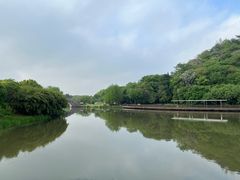 -绍兴镜湖国家城市湿地公园