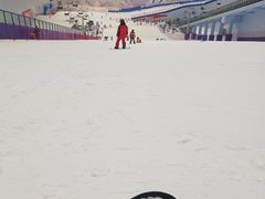 -哈尔滨热雪奇迹